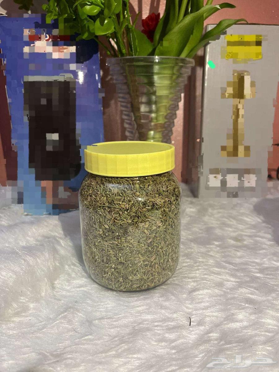 My local snoots picked this year64552505413634112