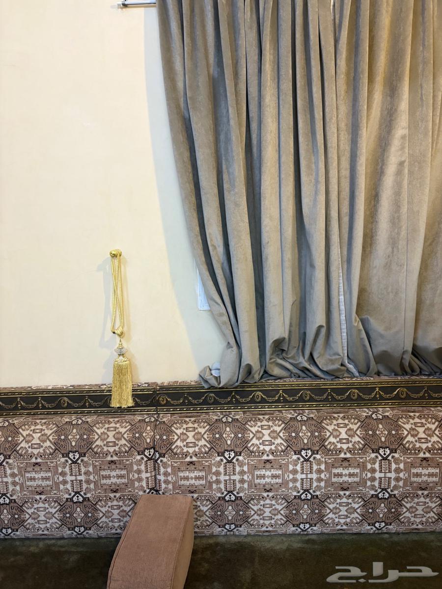 Floor cushions with 2 stars and almost new carpet for sale to the highest bidder64552803006721110