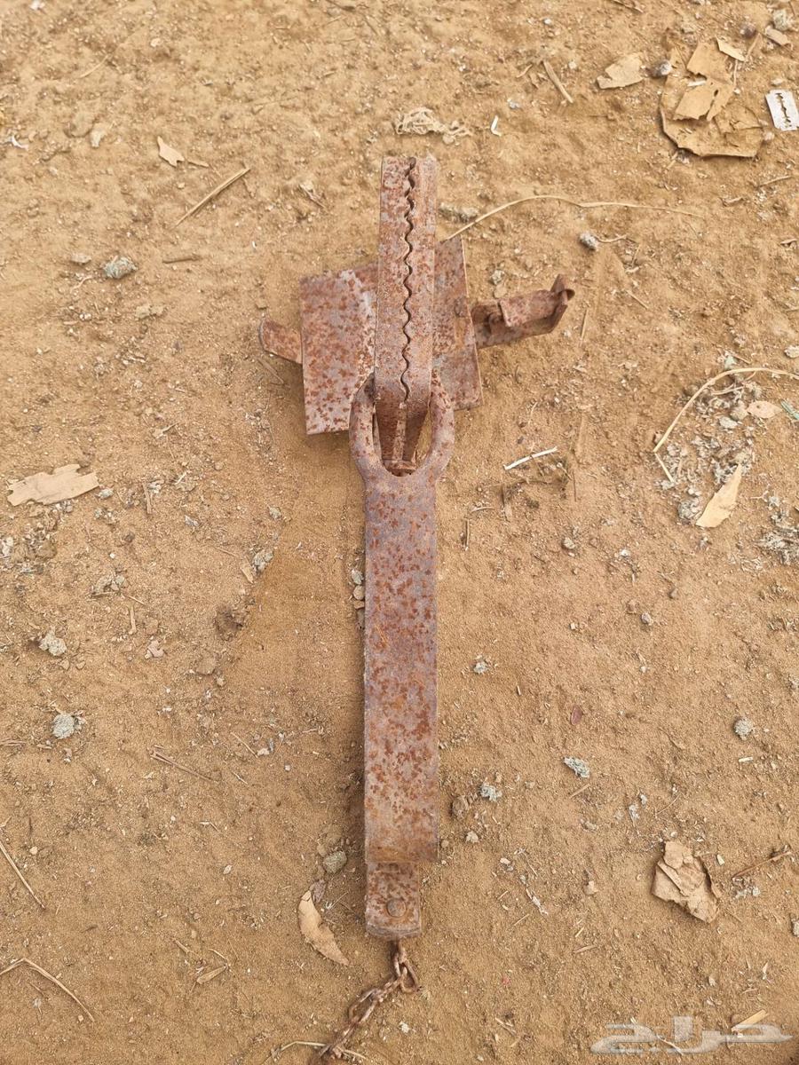 Trap or snare64553158410115111