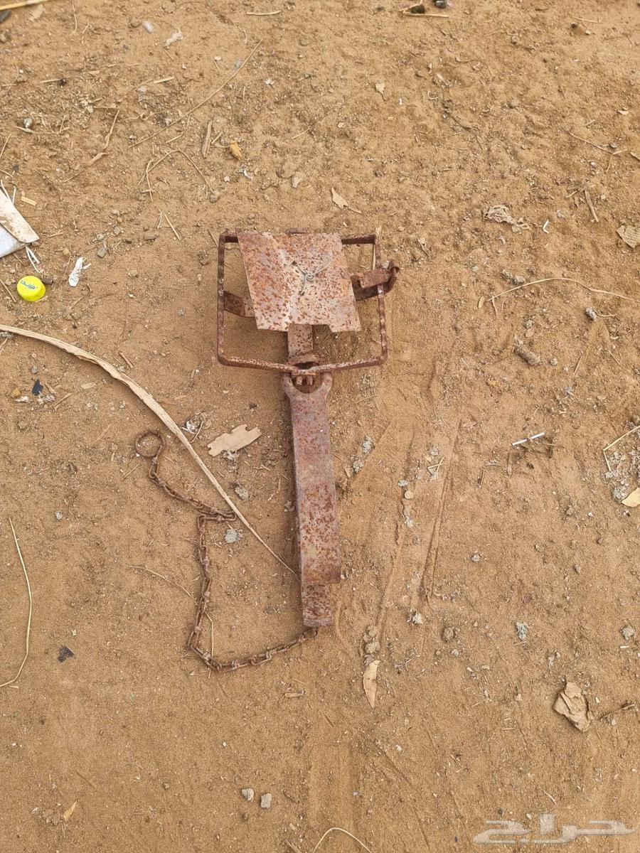 Trap or snare64553158410115112