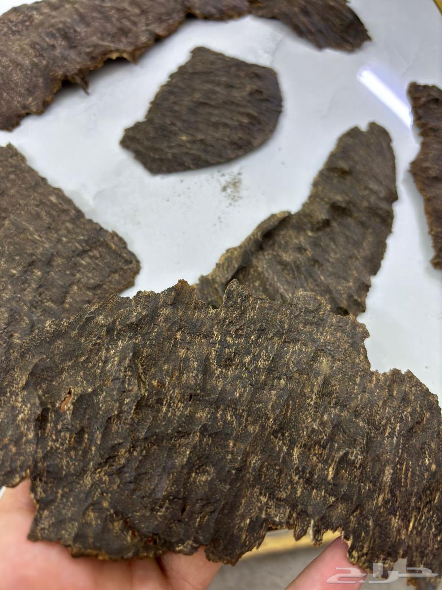 عود تشار او جار هندي64553907257602110