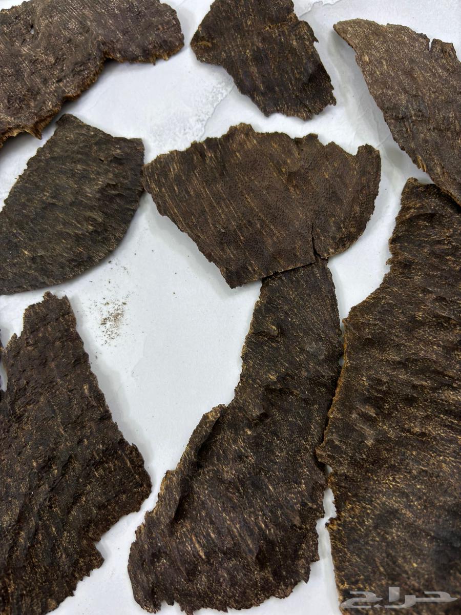 عود تشار او جار هندي64553907257602112