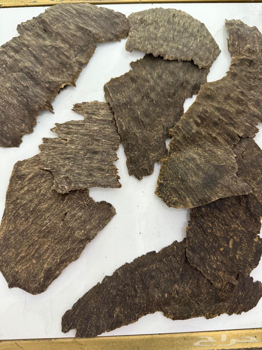 عود تشار او جار هندي64553907257602111