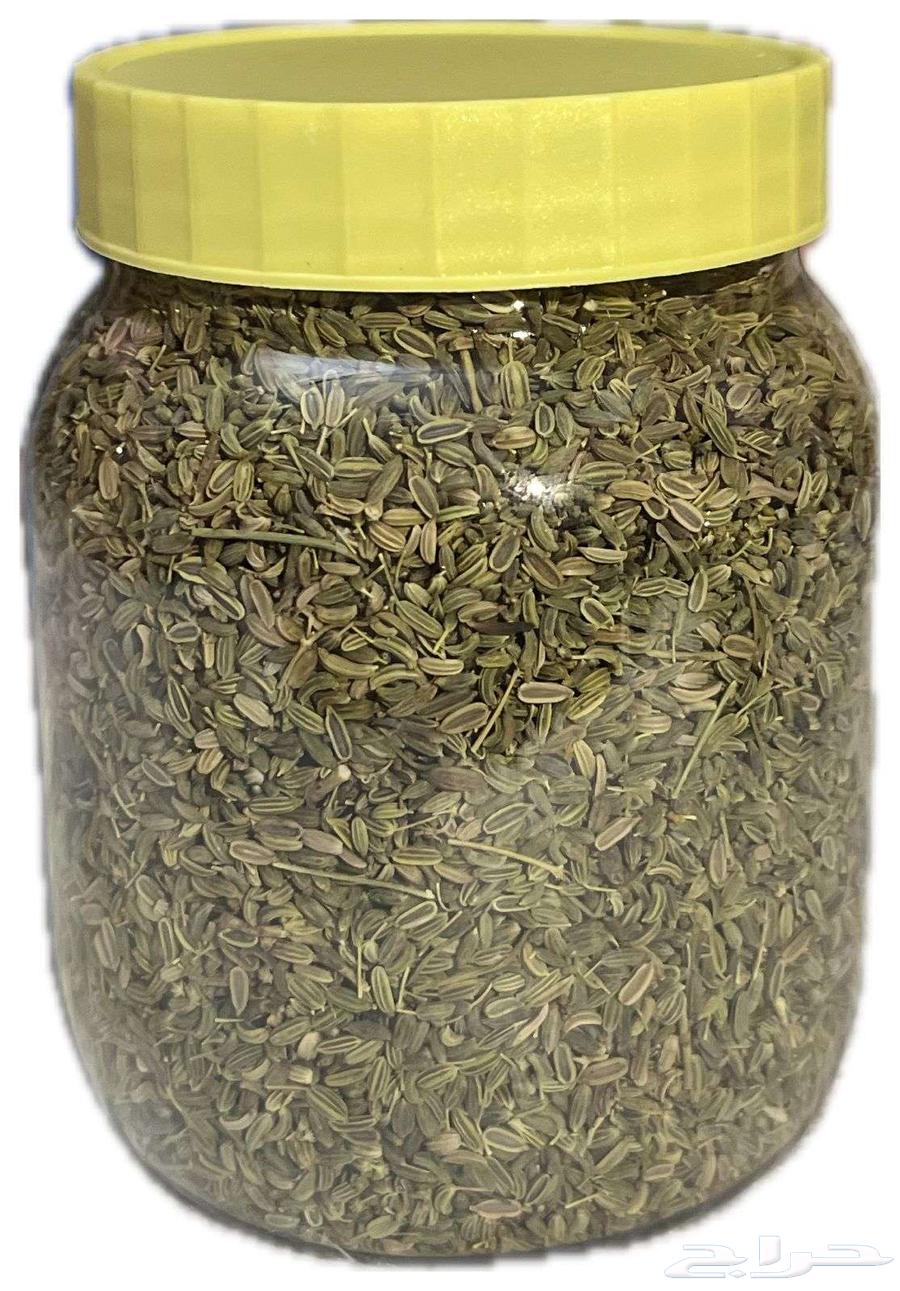 My local snoots picked this year64552505413634111