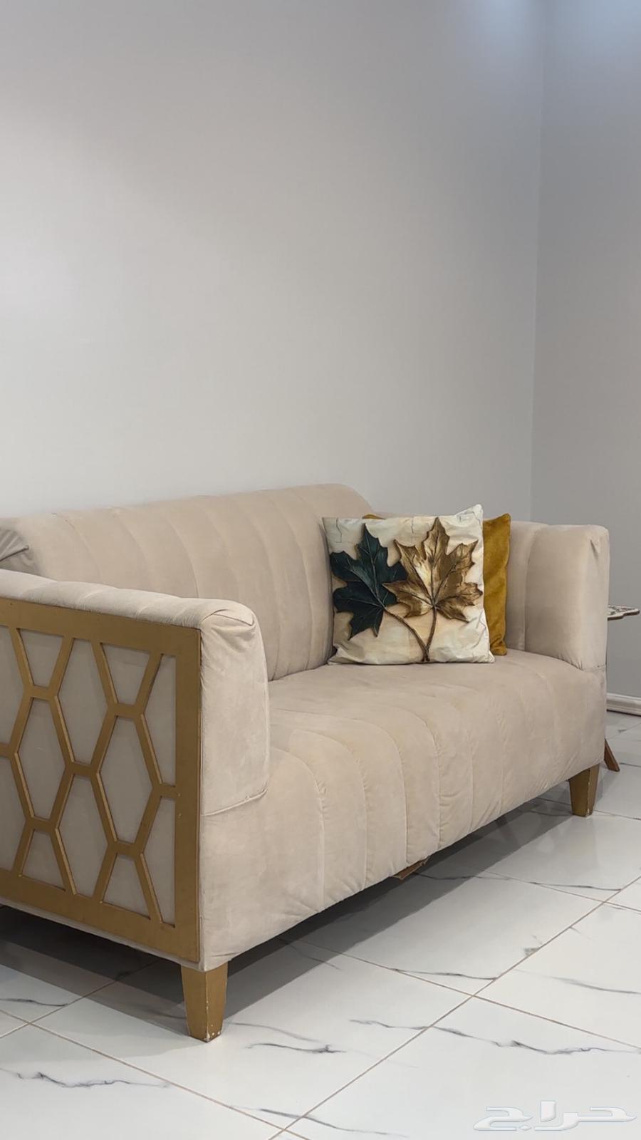 القصيم عيون الجواء القواره64547777276929110