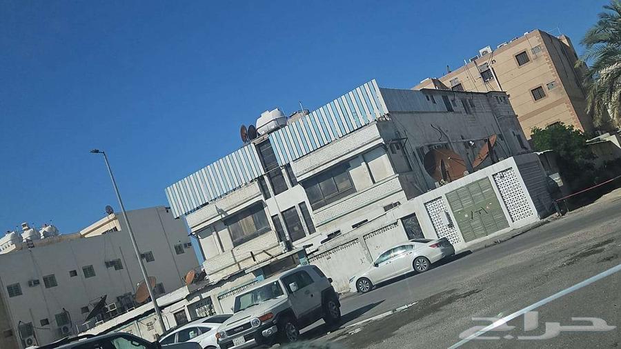 شقة للإيجار