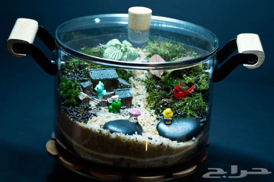 جدر 4.5 لتر تيراريوم مغلق طبيعي- ديكور مطبخ64488367199105110