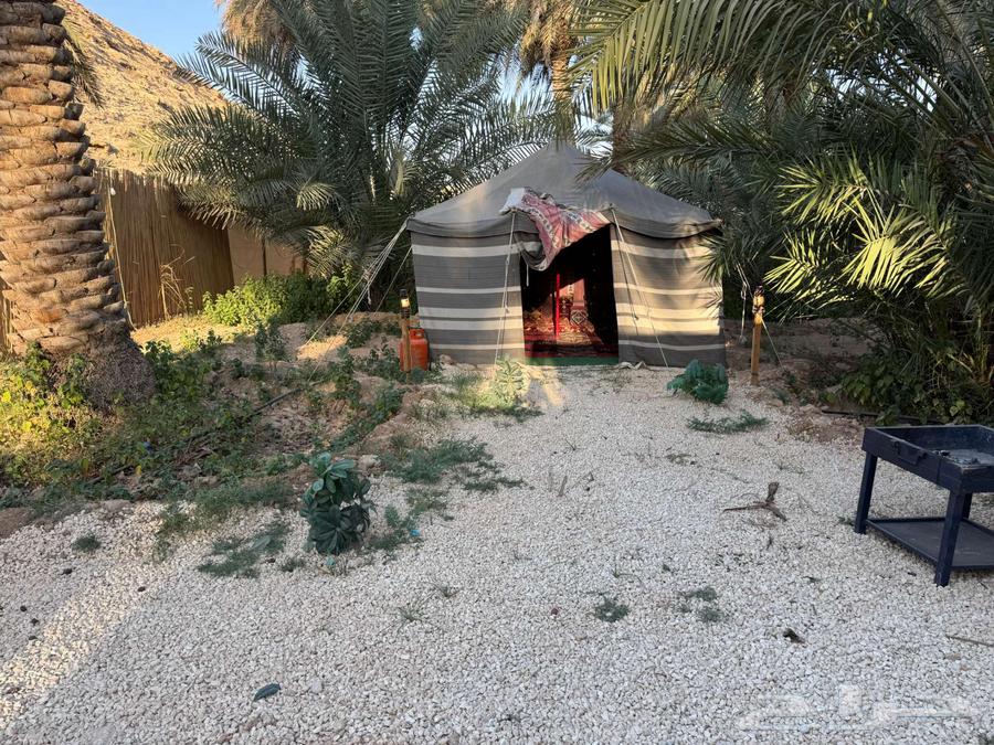 كرفان اوروبي مميز بالعمارية بخصم 50 بالمئة64545445514114112