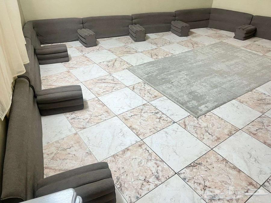 Backrest64545771944962110