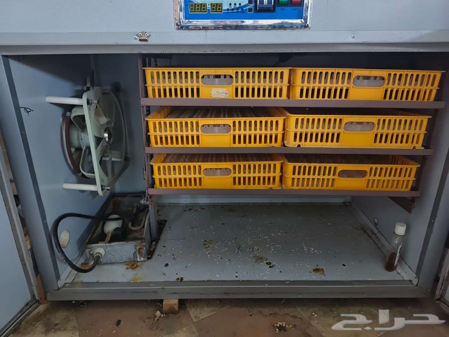 Automatic incubator for sale, Al Khut new and two hatching cabinets64550544231682114