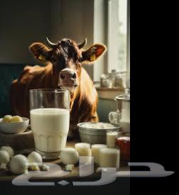 حليب يومي طاازج64562852636034110