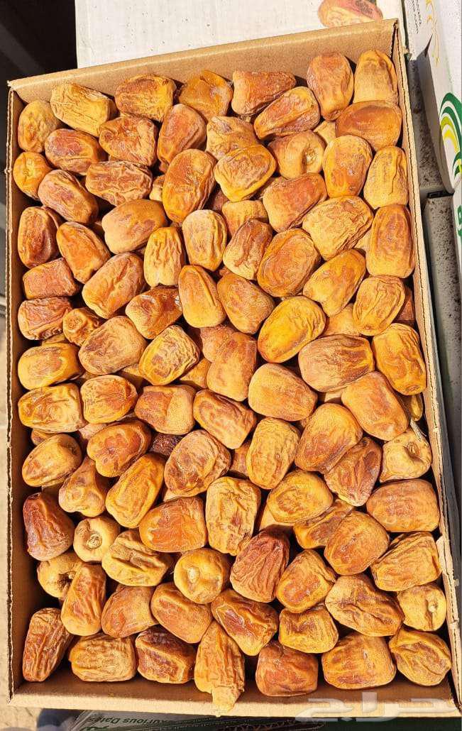 Premium Twisted Dates, Produced in Year 144764557796333443110