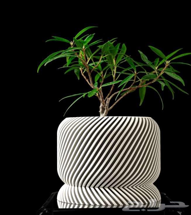أحواض نباتات عصرية مطبوعة بتقنية 3D Printing جدة64558489340802112