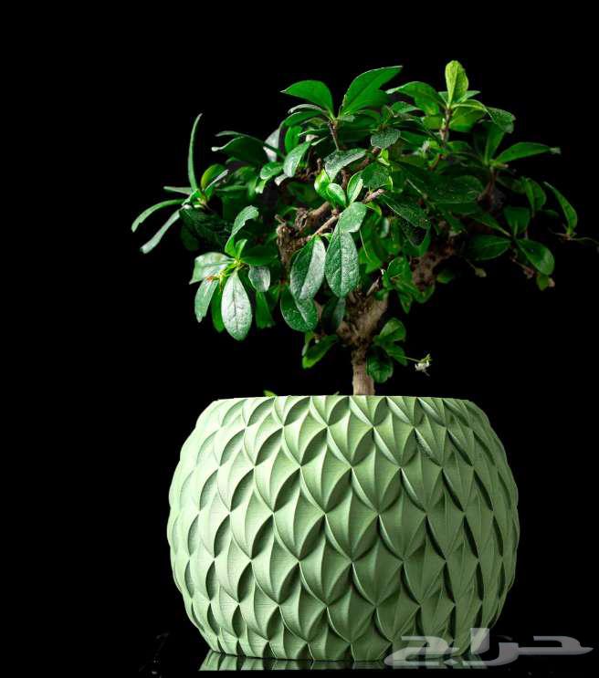 أحواض نباتات عصرية مطبوعة بتقنية 3D Printing جدة64558489340802111