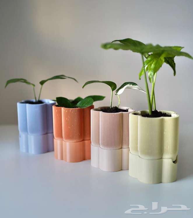 أحواض نباتات عصرية   نظام ري ذاتي64554202942595112