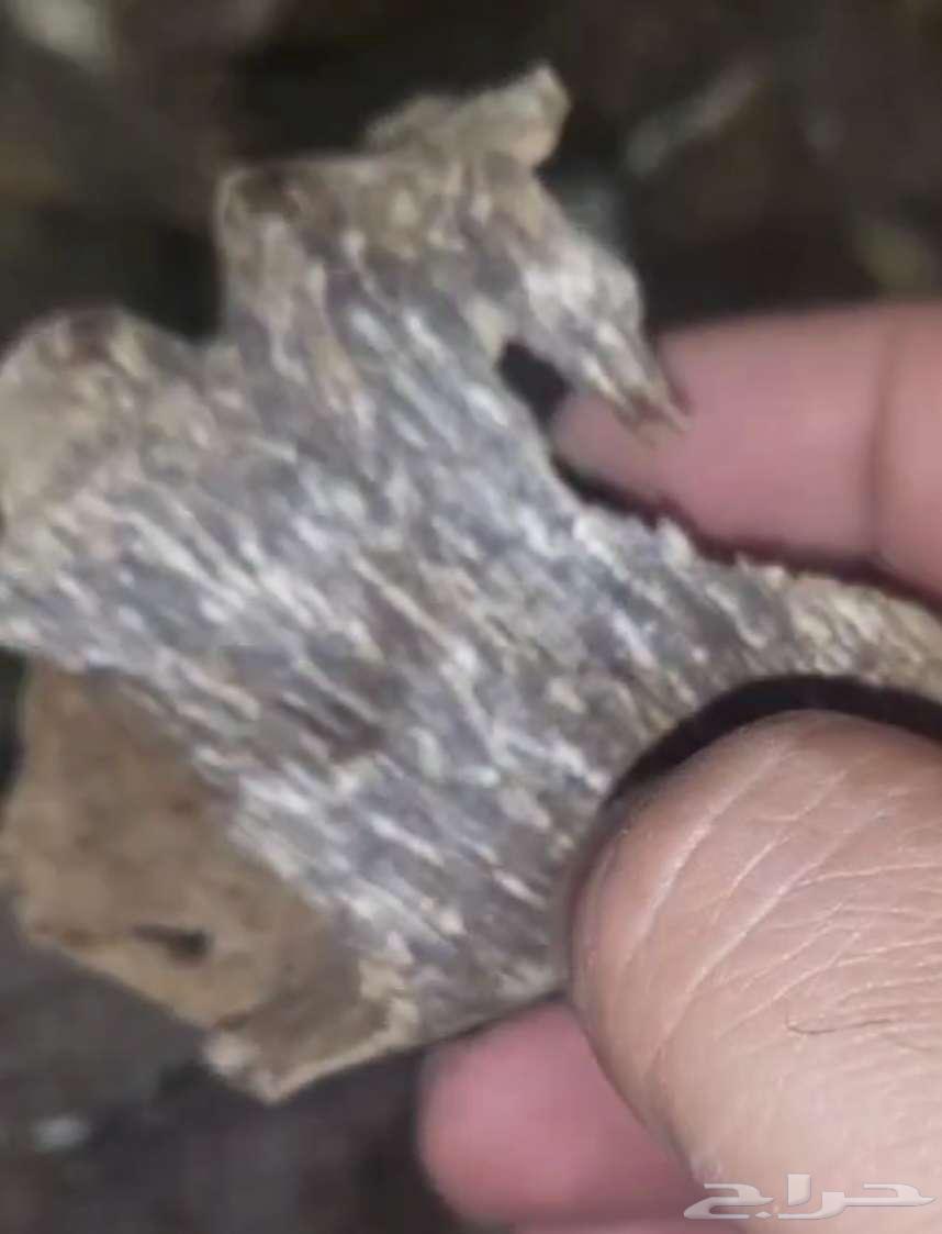 قواقع وزوايا فيتنامي فاخر جدا64557642907522111