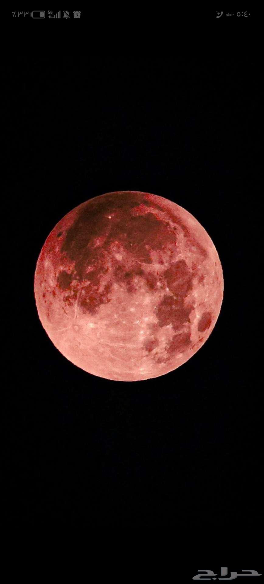 اشتراك نادي بودي موشنز للتنازل بتبوك64561560010625110