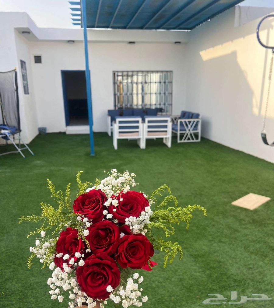 شاليهات هاف داي64554942409601110