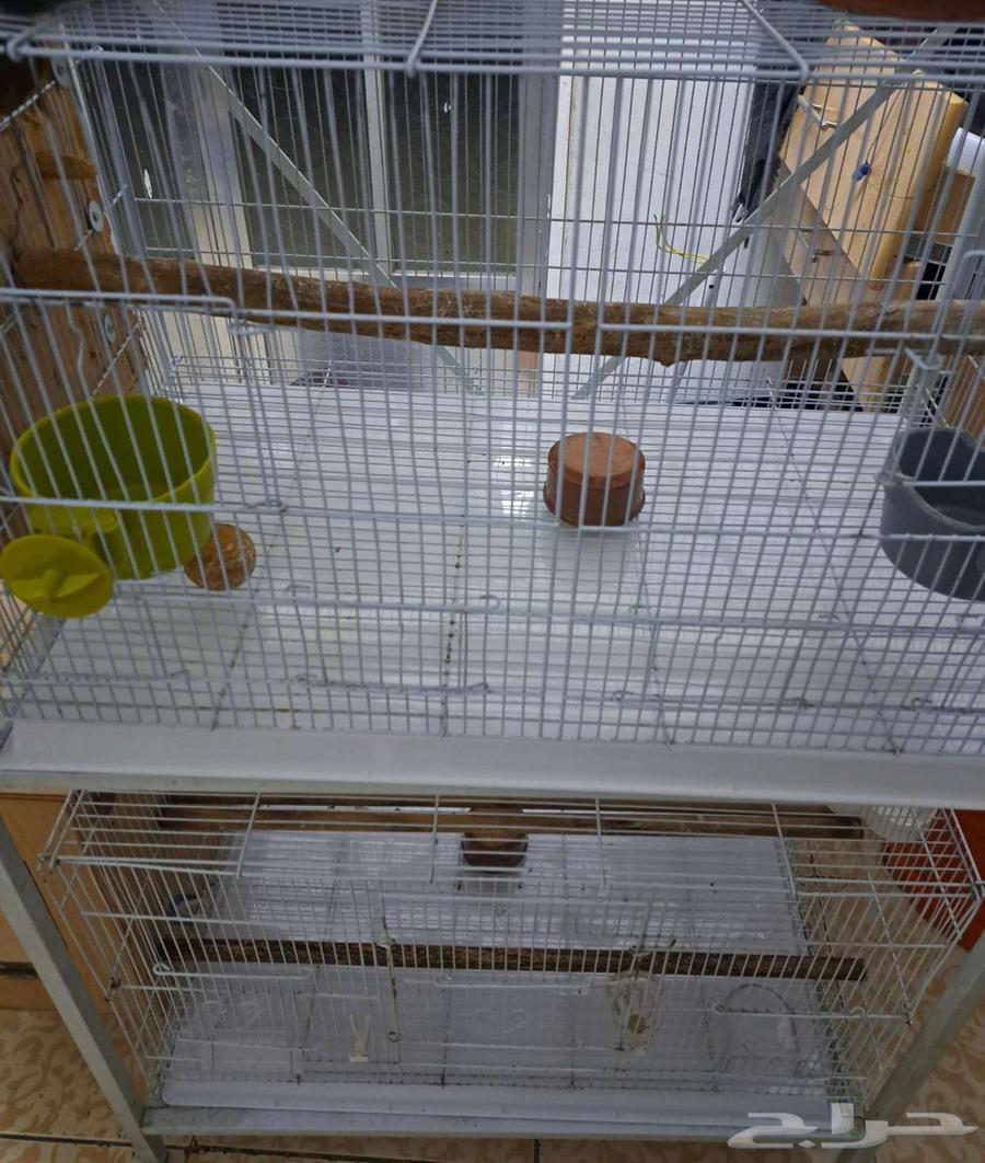 أستاند وأقفاص 610 مع البياضات (( تم البيع ))64557962284673113