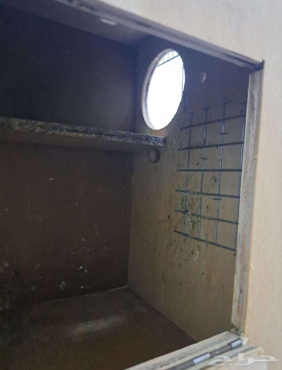 أستاند وأقفاص 610 مع البياضات (( تم البيع ))64557962284673114