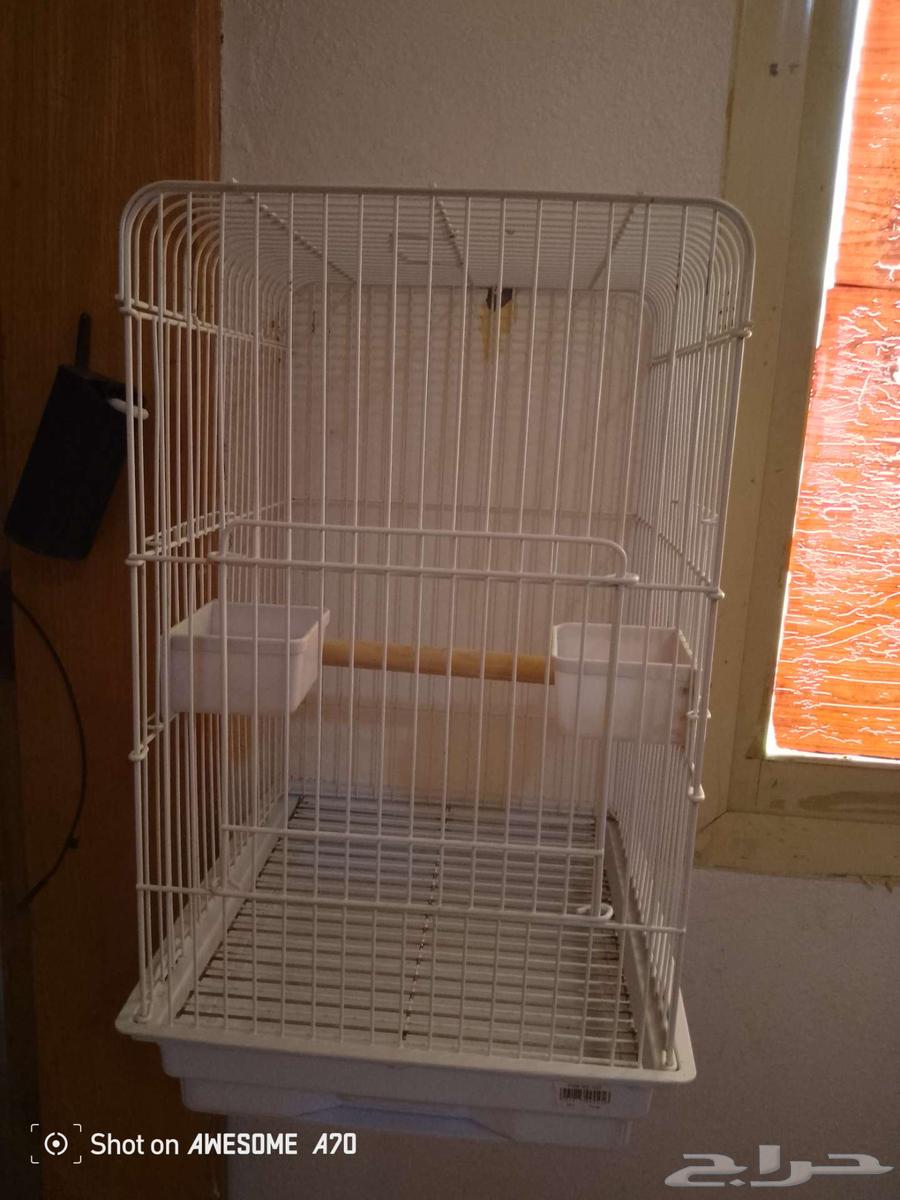 قفص كاسكو للبيع64565661226114110