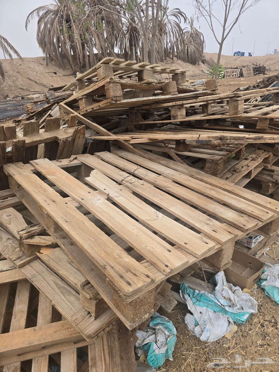 طبليات خشب64560248567042110