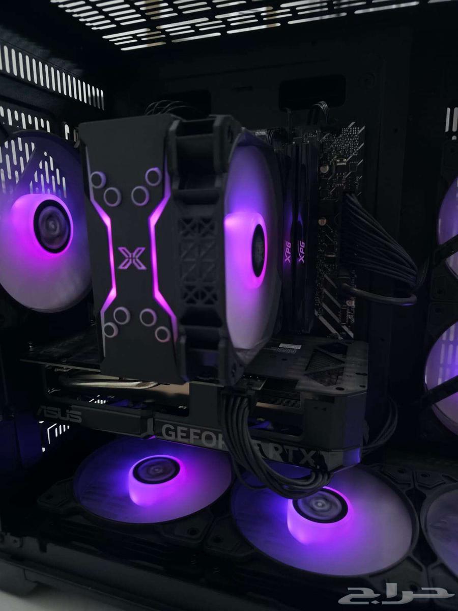 بيسي للبيع64563021133187114