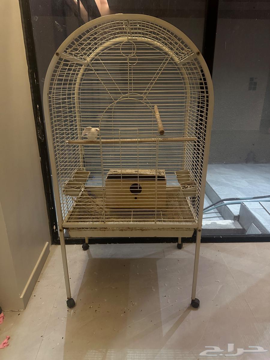 قفص للبيع64554231029123110