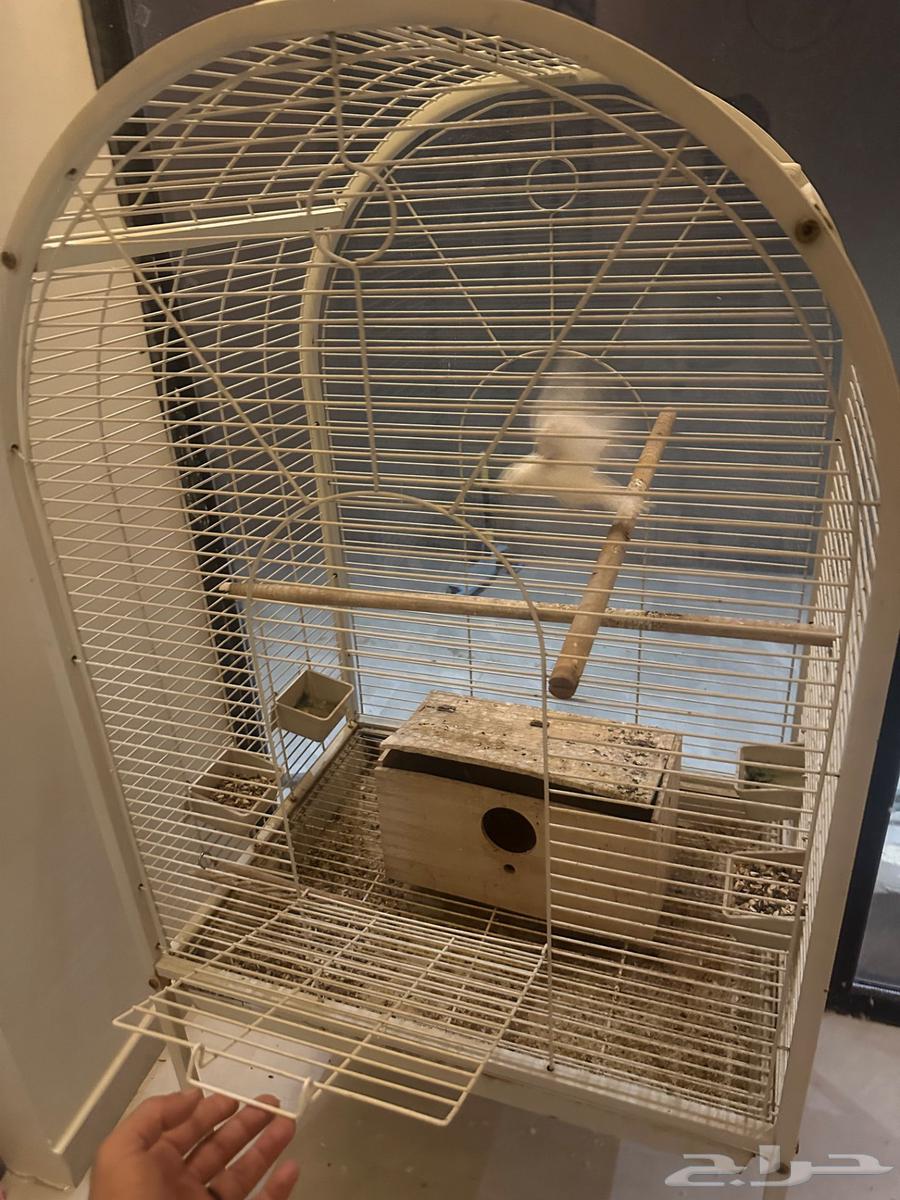 قفص للبيع64554231029123112
