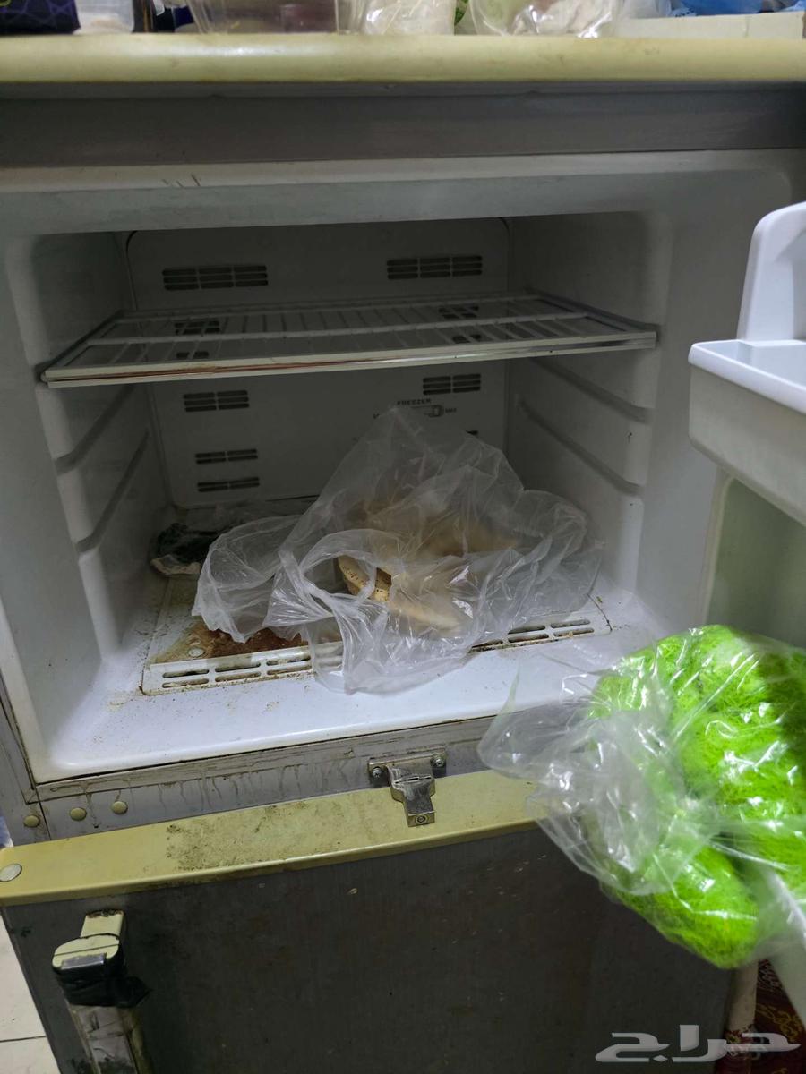 للبيع لدواعي السفر64554440869889111