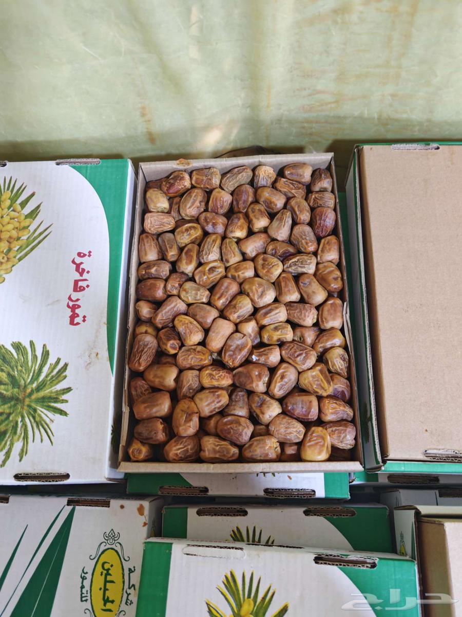 Available Mafatil dates from Al-Qassim64555305357825112