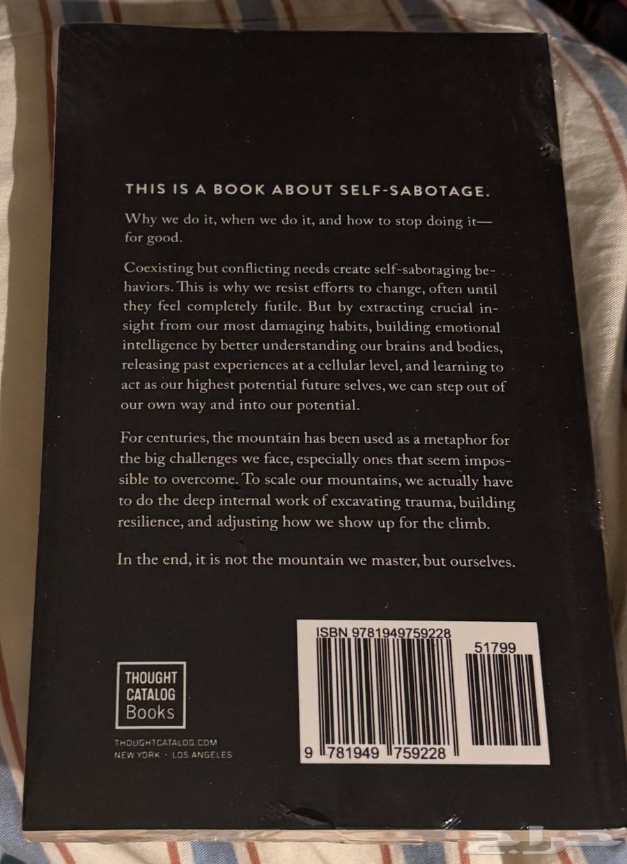 The Mountain is You New Book64562065784833111