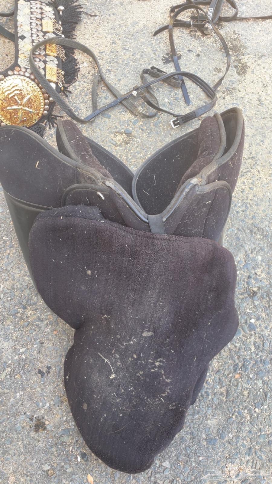 Stoos saddle with accessories returned64557699001859112