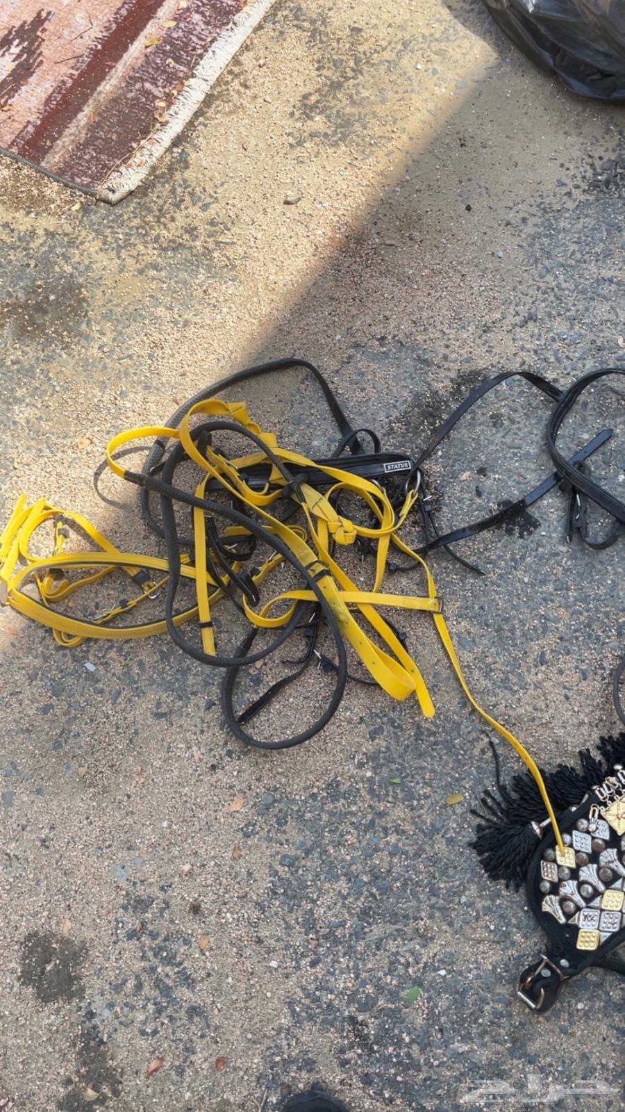 Stoos saddle with accessories returned64557699001859113