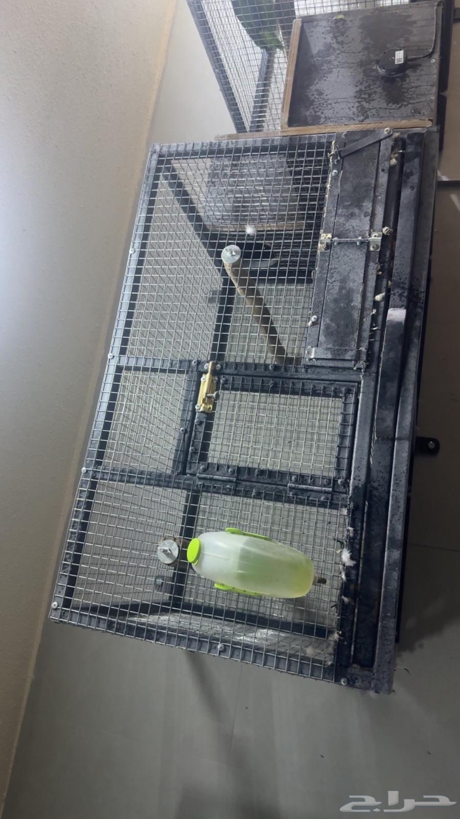 Parrot Breeding Cages64559084960131110