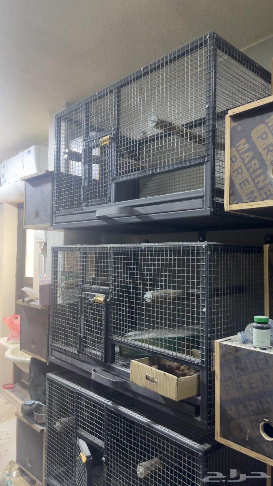 Parrot Breeding Cages64559084960131111