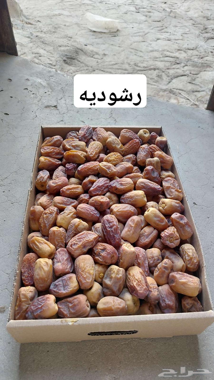 Nawae' Dates64555531856899112