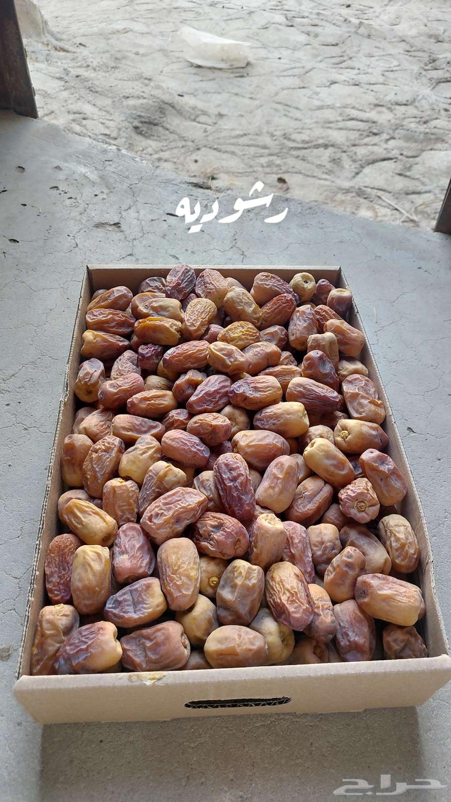 Nawae' Dates64555531856899111