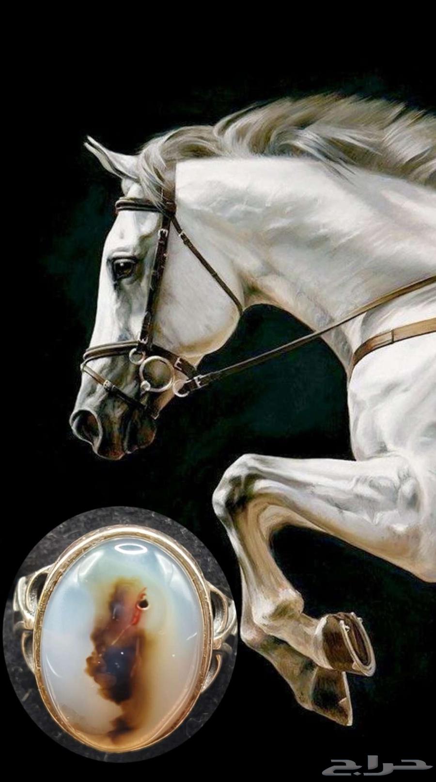 Agate with Engraved Images64560888622083112