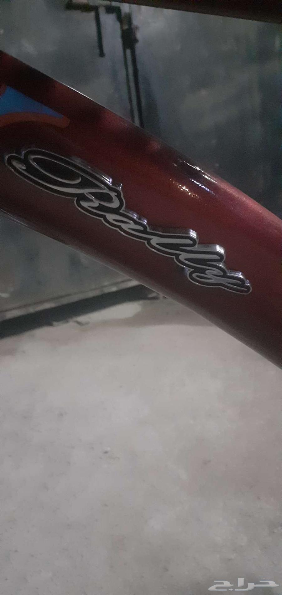 سيكل رامبو64556497929217111