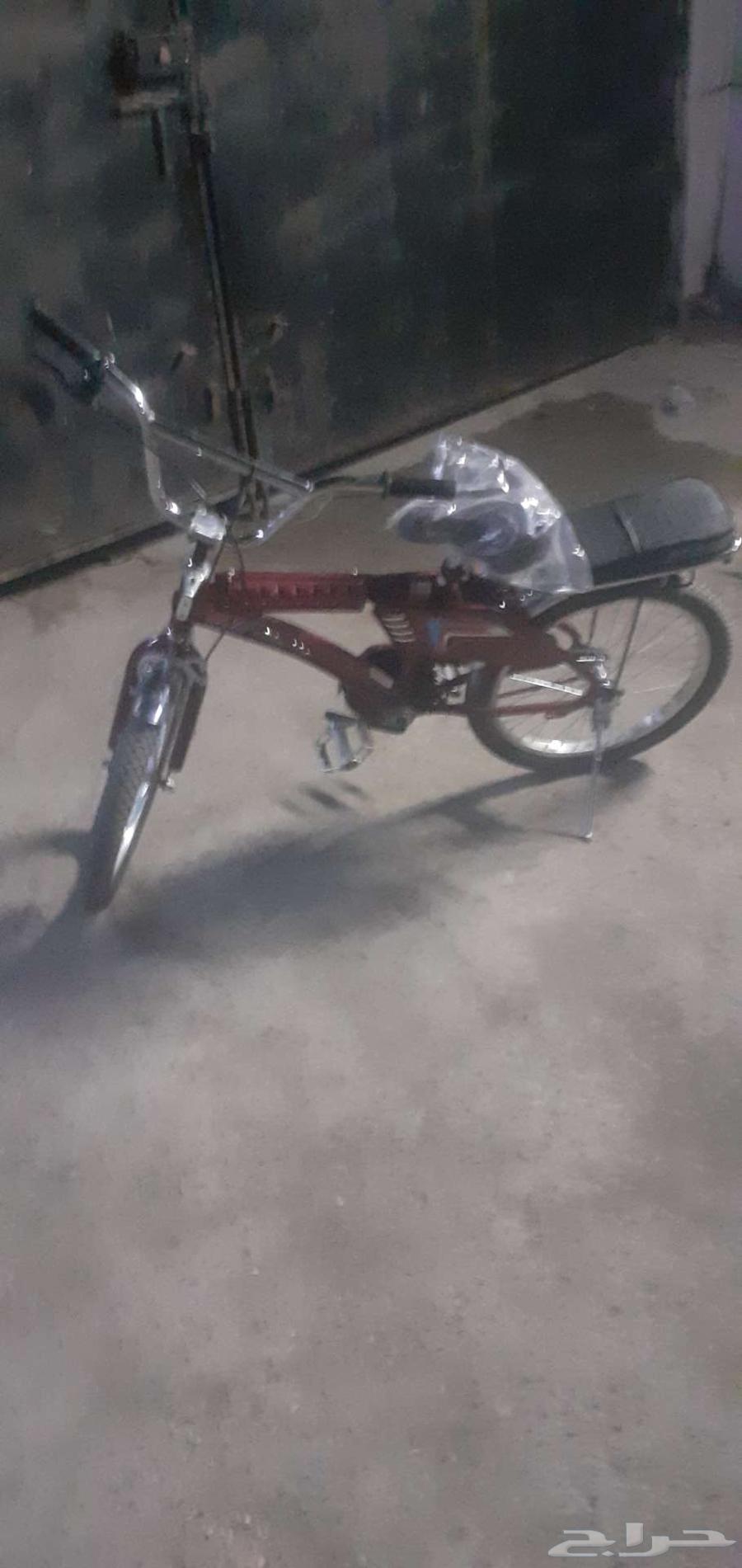 سيكل رامبو64556497929217112