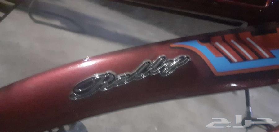 سيكل رامبو64556497929217114