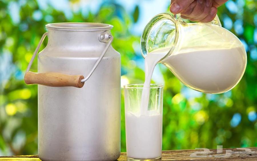 حليب يومي طاازج64562852636034111