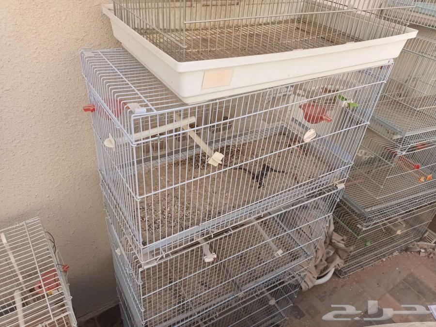 اقفاص للانتاج الطيور64558794522370110