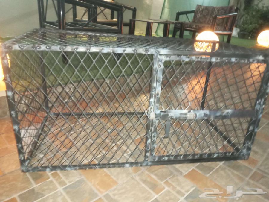 شبك للطيور جديد64555305283201110