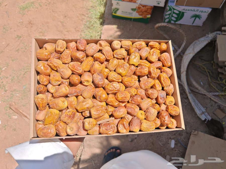 Available Mafatil dates from Al-Qassim64555305357825110