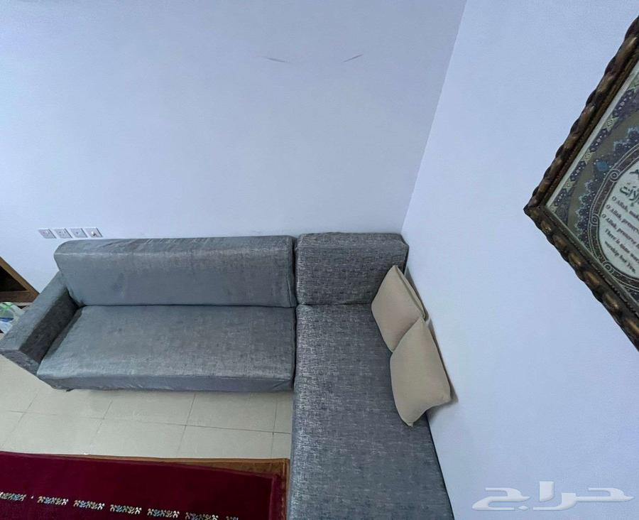 سرير أريكة كبير بحالة ممتازة   الرياض   800 ريال سعودي64558738722050110