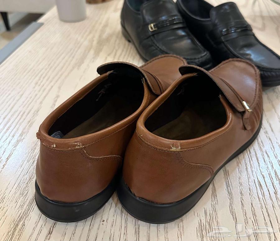 جرمتين رسمية للبيع64561588089729111