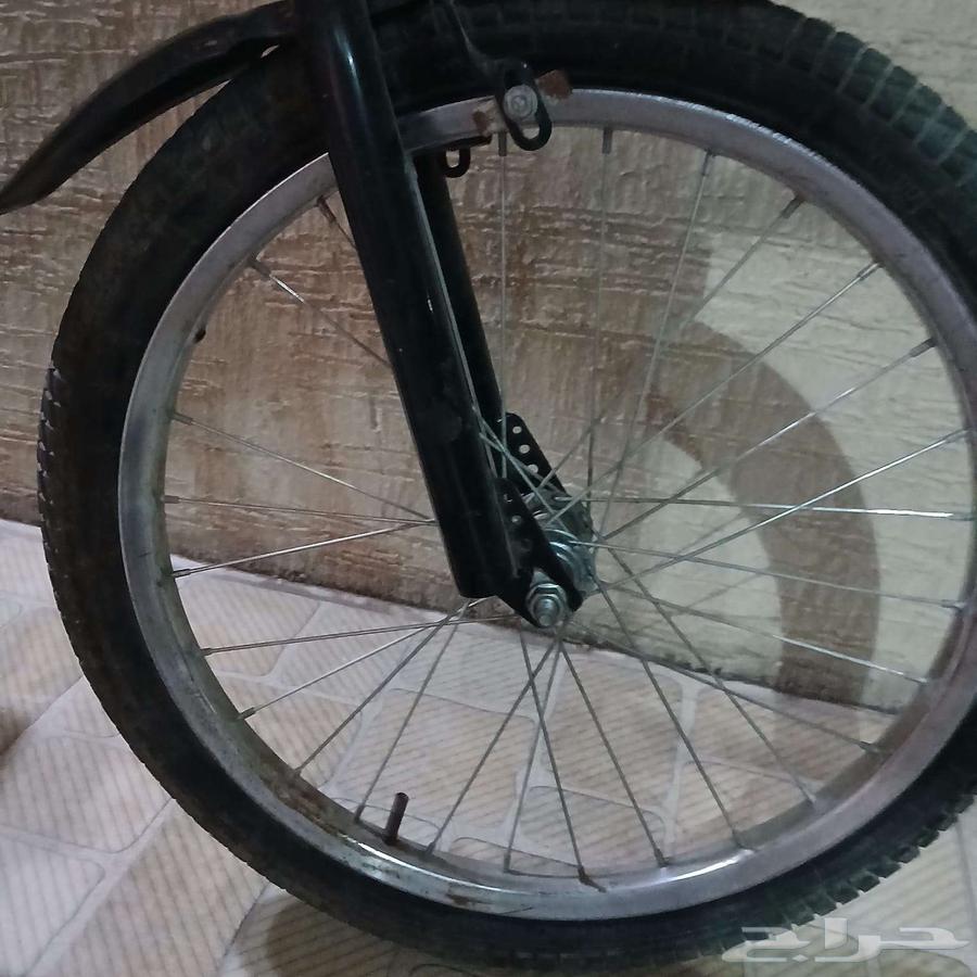 سيكل رامبو مقاس 2064560431323523112