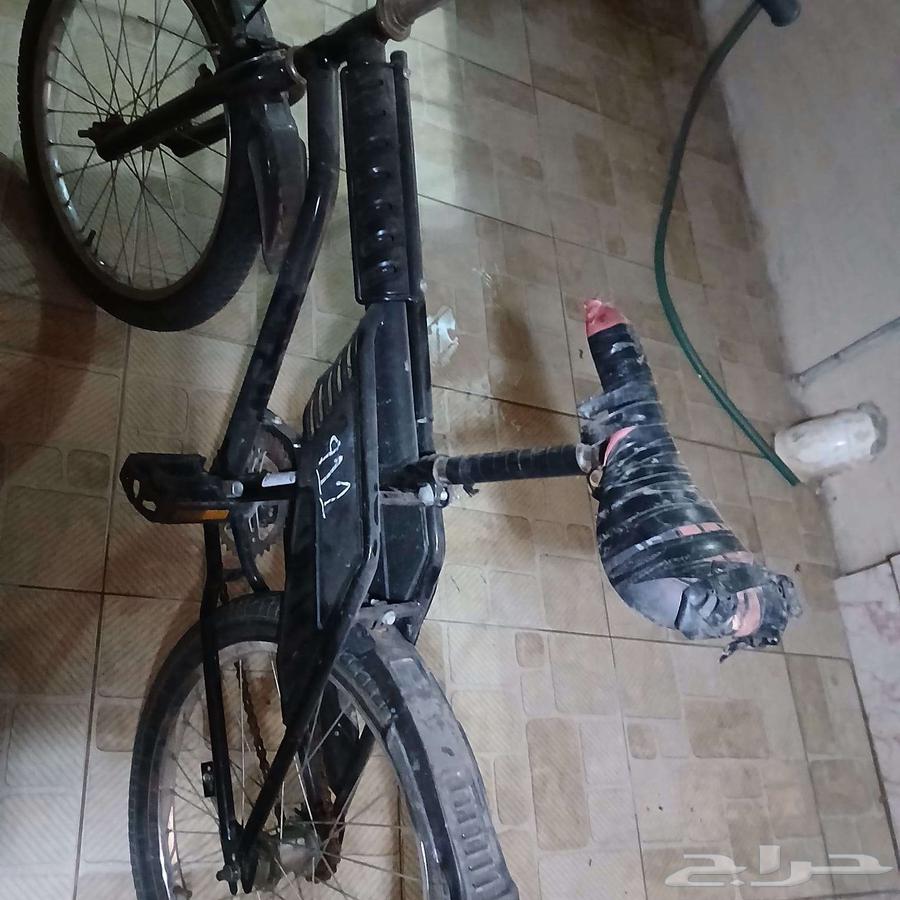 سيكل رامبو مقاس 2064560431323523113